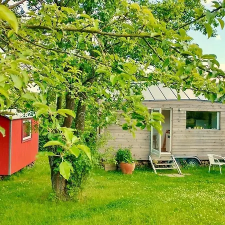 Tinyhouse Minimalus I - Outdoorkueche Und Nebeldusche Holiday home