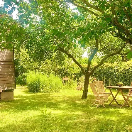 Tinyhouse Minimalus I - Outdoorkueche Und Nebeldusche *