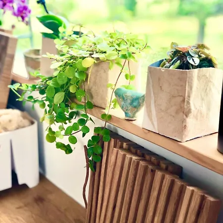 Tinyhouse Minimalus I - Outdoorkueche Und Nebeldusche Holiday home Dachsenhausen